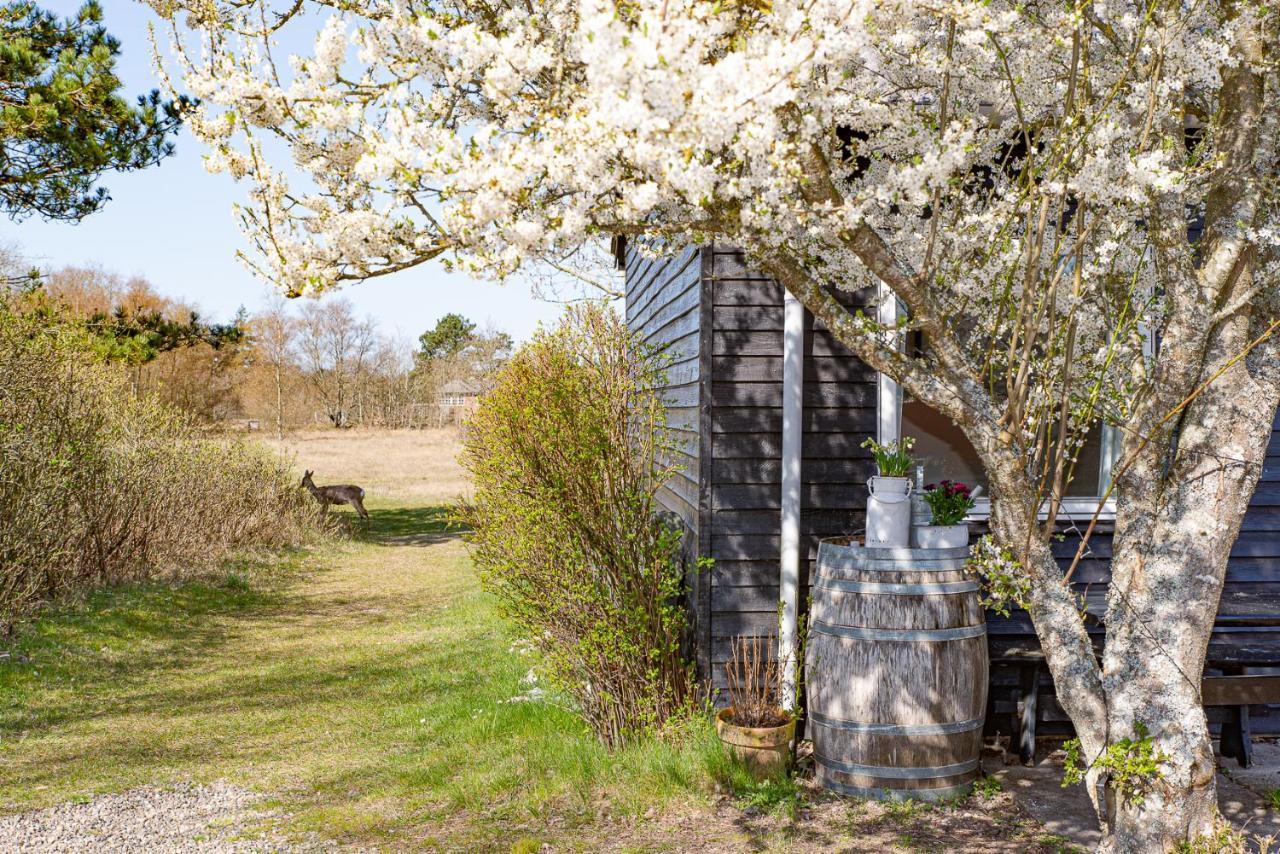 Poppelgaarden Romo B&B Rømø Kirkeby Dış mekan fotoğraf