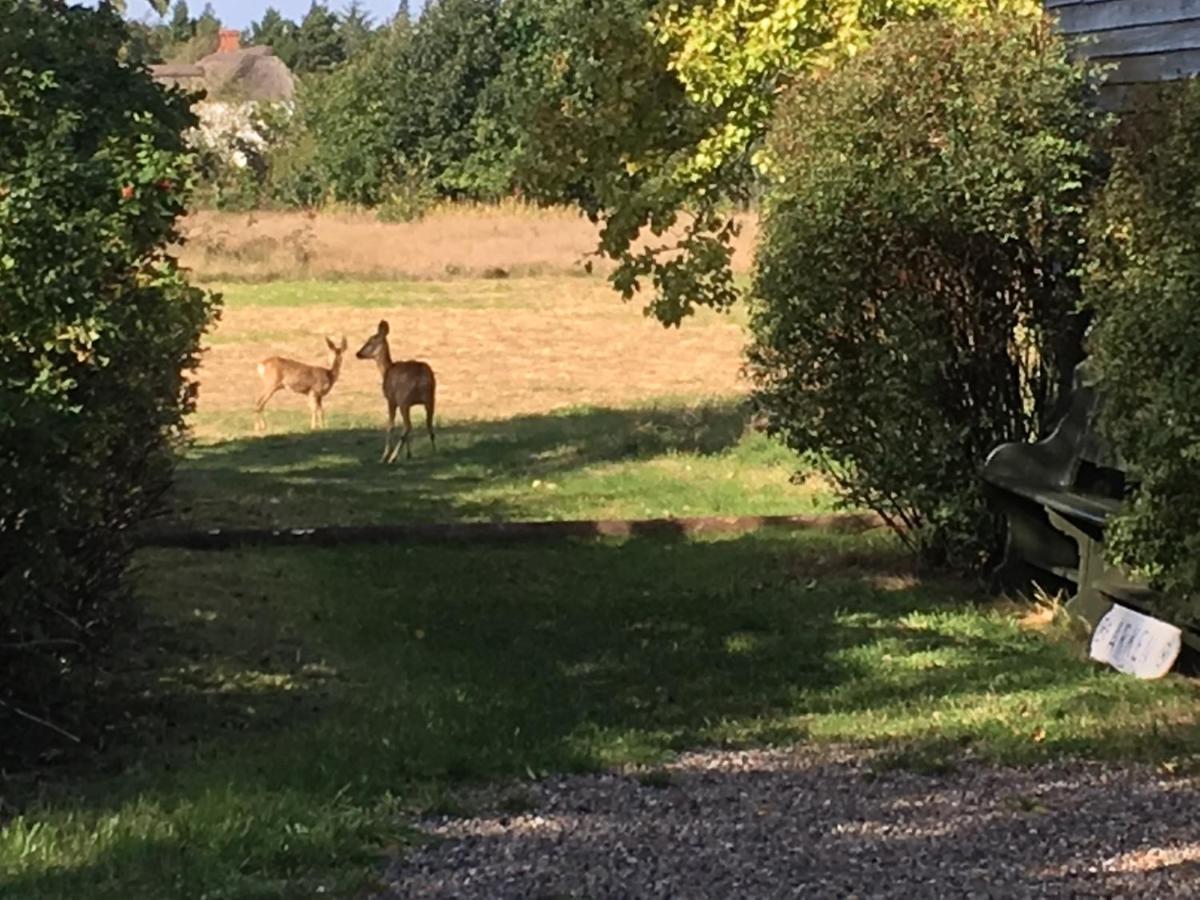 Poppelgaarden Romo B&B Rømø Kirkeby Dış mekan fotoğraf