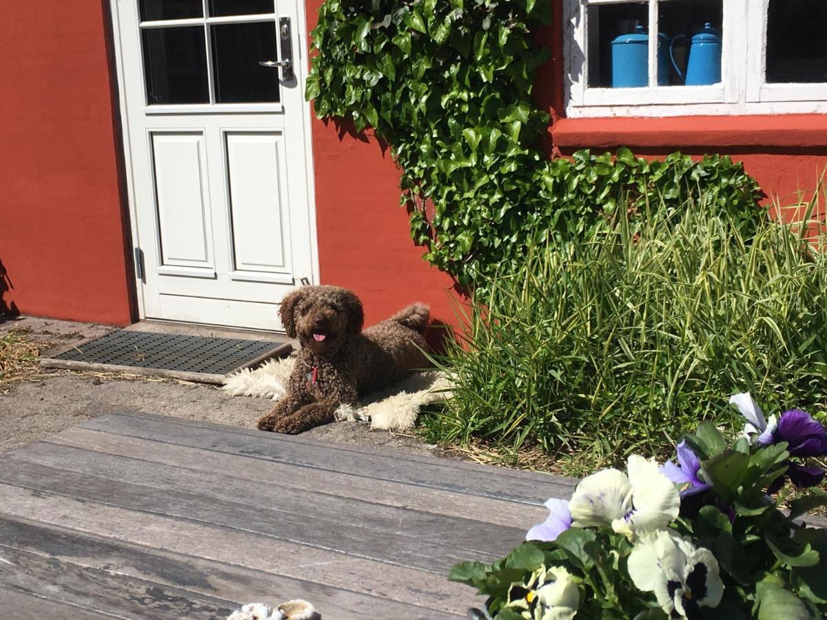 Poppelgaarden Romo B&B Rømø Kirkeby Dış mekan fotoğraf