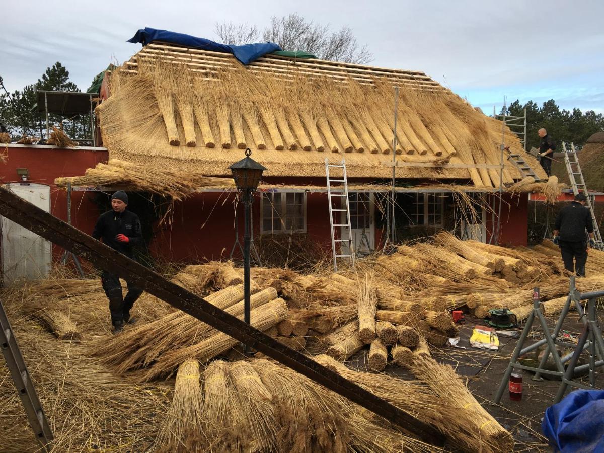 Poppelgaarden Romo B&B Rømø Kirkeby Dış mekan fotoğraf