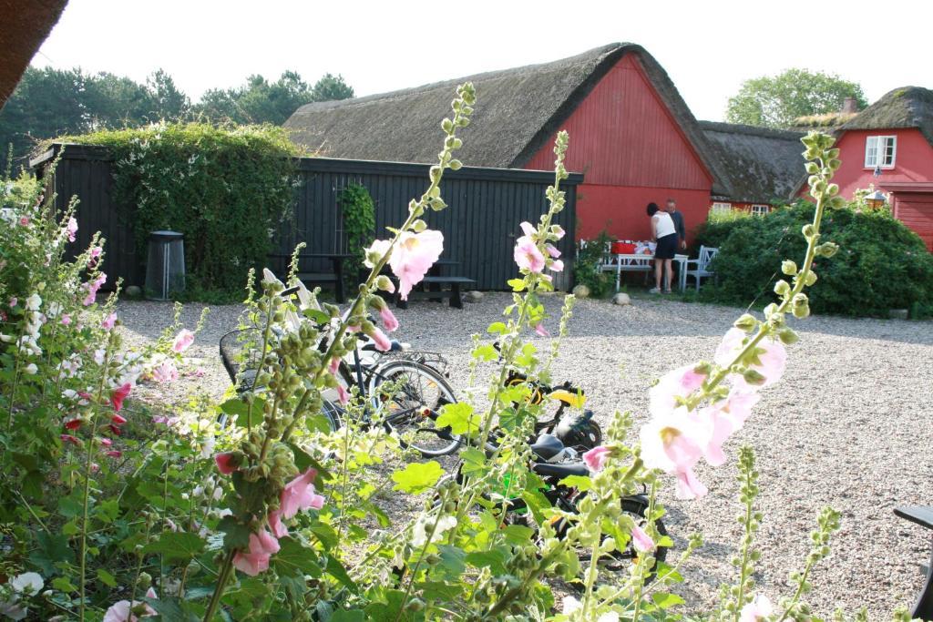 Poppelgaarden Romo B&B Rømø Kirkeby Dış mekan fotoğraf